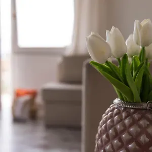  Appartamento Il Sole In Casa Italia